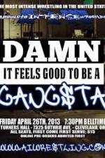 Watch AIW Damn It Feels Good To Be A Gangsta Gomovies