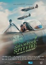 Watch The Shamrock Spitfire Gomovies