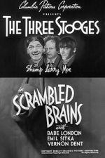 Watch Scrambled Brains Gomovies