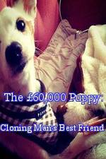Watch The 60,000 Puppy: Cloning Man's Best Friend Gomovies