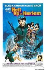 Watch Hell Up in Harlem Gomovies