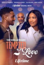Watch Terry McMillan Presents: Tempted 2 Love Gomovies