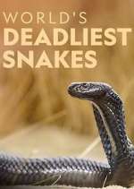 Watch World's Deadliest Snakes Gomovies