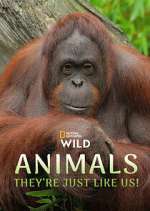 Watch Animals, They\'re Just Like Us! Gomovies