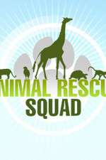 Watch Animal Rescue Squad Gomovies