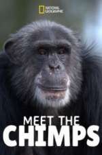 Watch Meet the Chimps Gomovies