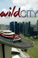 Watch Wild City Gomovies