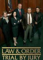 Watch Law & Order: Trial by Jury Gomovies