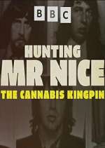 Watch Hunting Mr Nice: The Cannabis Kingpin Gomovies