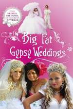 Watch Big Fat Gypsy Weddings Gomovies