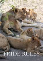 Watch Pride Rules Gomovies