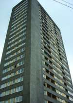 Watch High Times Gomovies