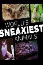 Watch World's Sneakiest Animals Gomovies
