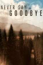 Watch Never Say Goodbye Gomovies