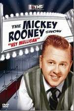 Watch The Mickey Rooney Show Gomovies