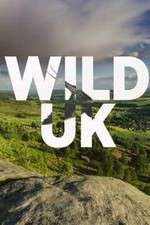 Watch Wild UK Gomovies