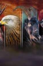 Watch Wales: Land of the Wild Gomovies