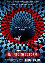 Watch Q: Into the Storm Gomovies