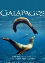 Watch Galapagos Gomovies