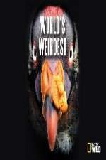 Watch National Geographic Worlds weirdest Gomovies