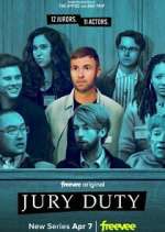 Watch Jury Duty Gomovies
