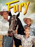 Watch Fury Gomovies