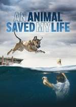 Watch An Animal Saved My Life Gomovies