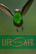 Watch Life in the Air Gomovies