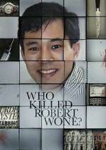 who killed robert wone? tv poster