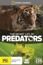 Watch Secret Life of Predators Gomovies