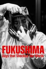 fukushima: days that shocked the world tv poster