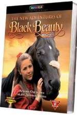 Watch The New Adventures of Black Beauty Gomovies