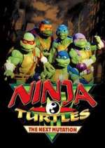 Watch Ninja Turtles: The Next Mutation Gomovies
