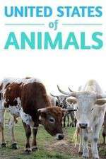 Watch United States of Animals Gomovies