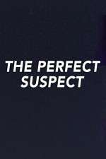 Watch The Perfect Suspect Gomovies