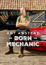 Watch Ant Anstead: Born Mechanic Gomovies