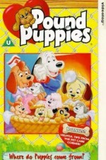 Watch Pound Puppies Gomovies