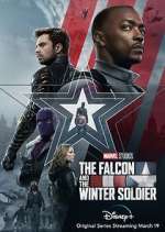 Watch The Falcon and The Winter Soldier Gomovies
