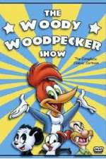Watch The Woody Woodpecker Show Gomovies