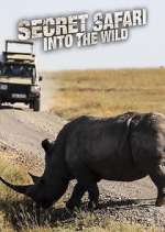 Watch Secret Safari: Into the Wild Gomovies