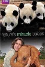 Watch Natures Miracle Babies Gomovies