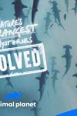Watch Nature\'s Strangest Mysteries: Solved Gomovies