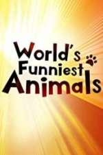 Watch The World\'s Funniest Animals Gomovies