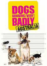 Watch Dogs Behaving (Very) Badly Australia Gomovies