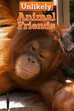 Watch Unlikely Animal Friends Gomovies