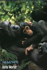 Watch Hello World! Gomovies