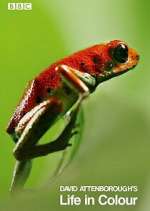 Watch Attenborough's Life in Colour Gomovies