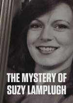 Watch The Suzy Lamplugh Mystery Gomovies