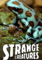 Watch Strange Creatures Gomovies