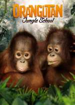 Watch Orangutan Jungle School Gomovies